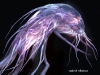 alien-11.jpg