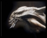 alien-14.jpg