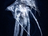 alien-16.jpg