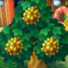 durianes frutas Animal Crossing New Leaf