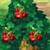lichis frutas Animal Crossing New Leaf