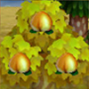 melocoton perfecto frutas Animal Crossing New Leaf