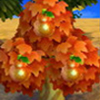 naranja perfecta frutas Animal Crossing New Leaf