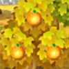 naranjas frutas Animal Crossing New Leaf